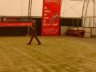 sports halls