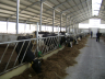 barns modernisation