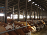 barns modernisation