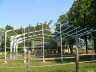 Breeding horses