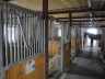 Breeding horses