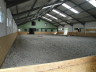 Breeding horses