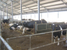 barns modernisation