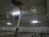 Poultry farming