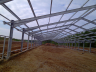 Poultry farming