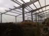 sheds