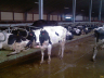 barns modernisation