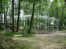 Breeding horses