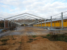 Poultry farming
