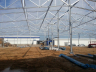 food production