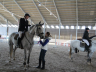 Breeding horses